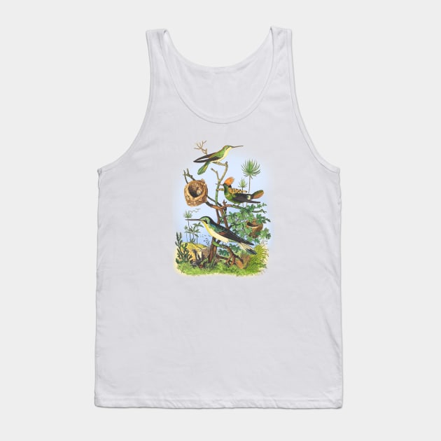 BIRDS Wildlife Illustration Tank Top by Biophilia